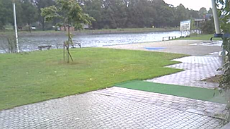 Roeivereniging Amycus