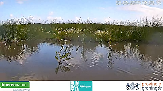 Boerennatuur uit Het Hogeland