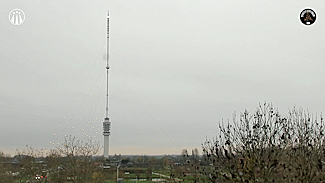 Kerstboom Gerbrandytoren