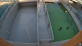 W.E.C. Zeehondencentrum